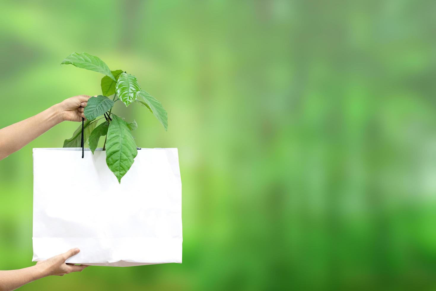 Paper shopping bag with small green plant in it presented on blur background. photo