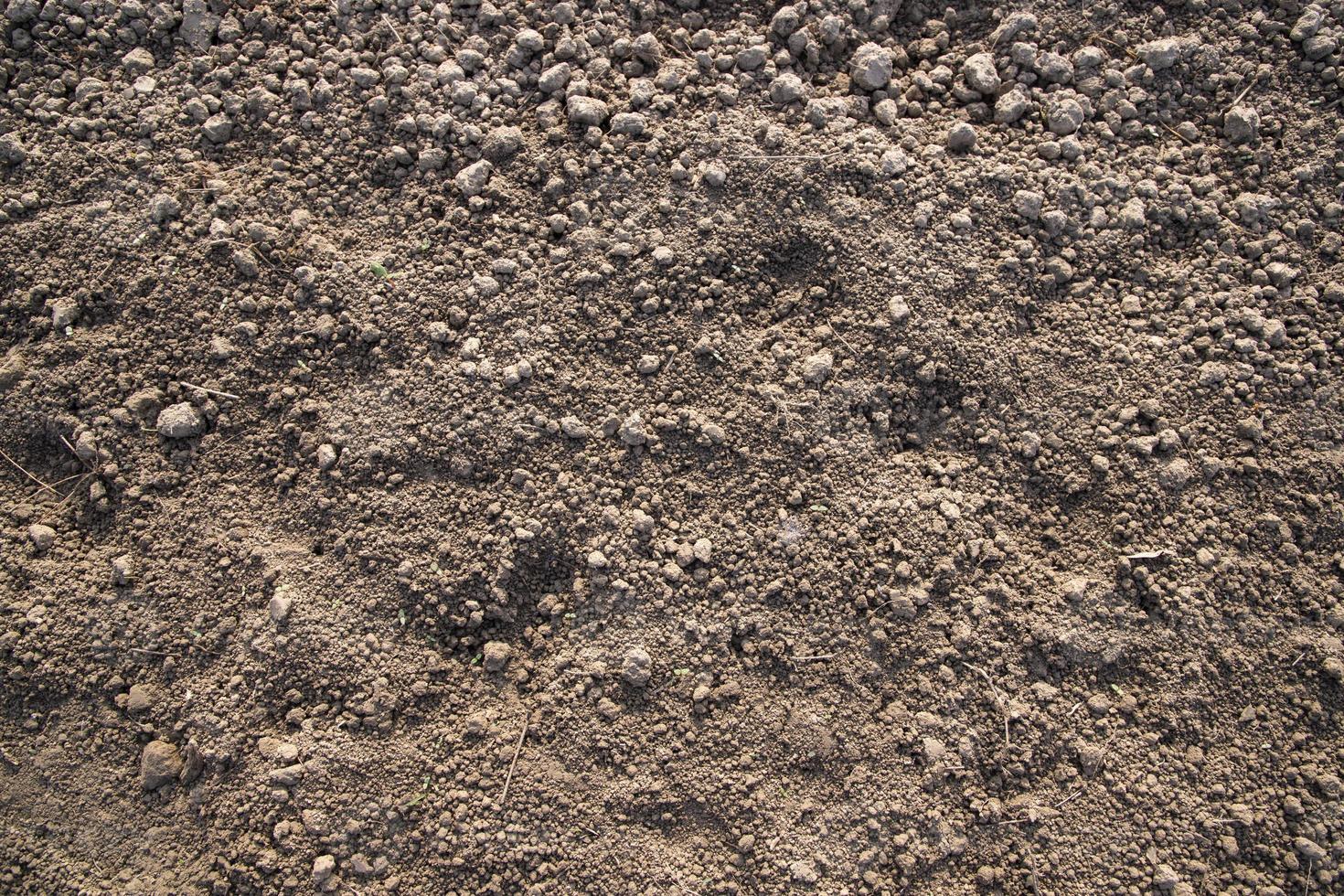 Brown crushed soil peat field texture may be used as a  background wallpaper photo