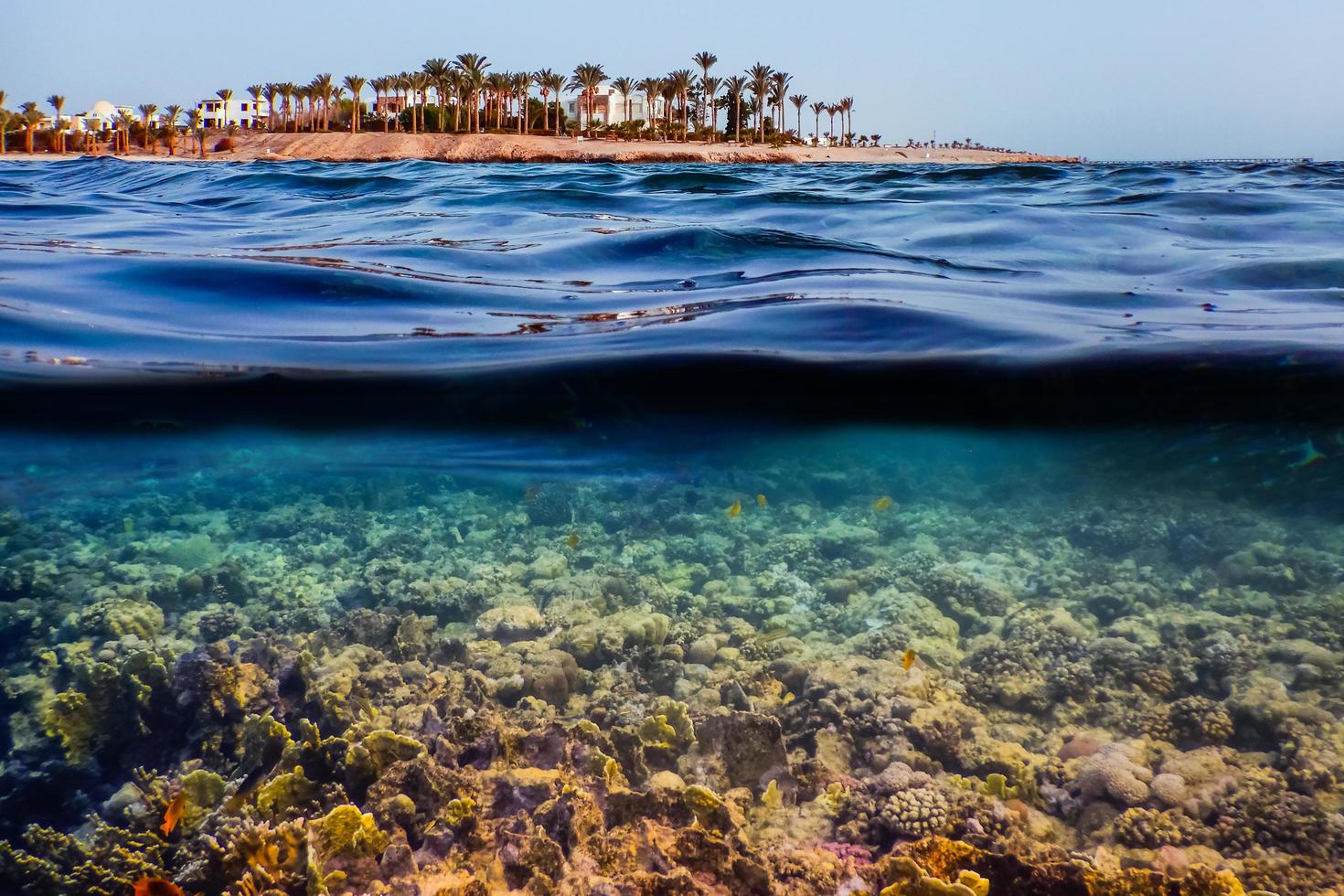 view to the coral reef and the bay with palms while diving photo