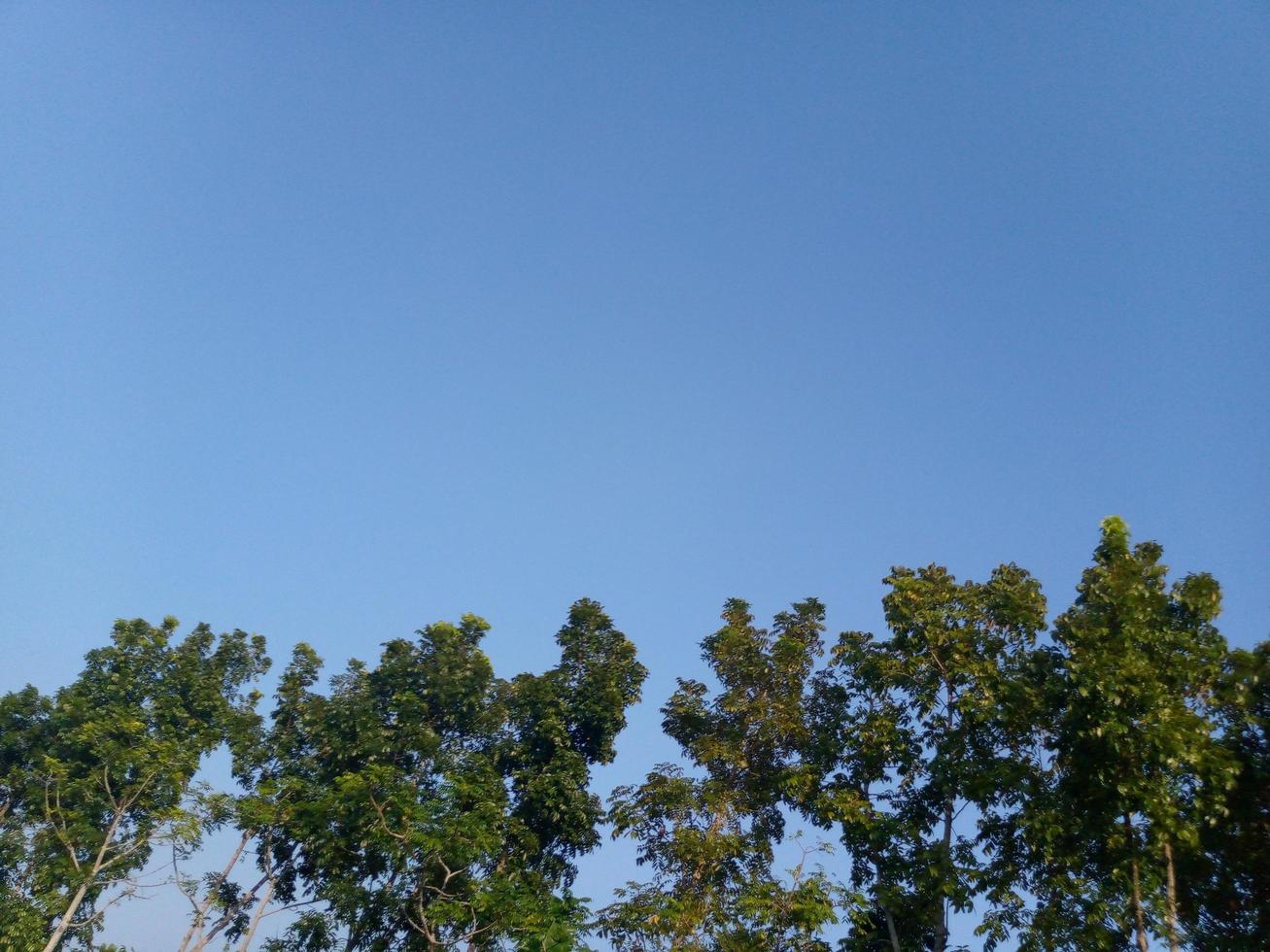 White and blue sky in the village photo