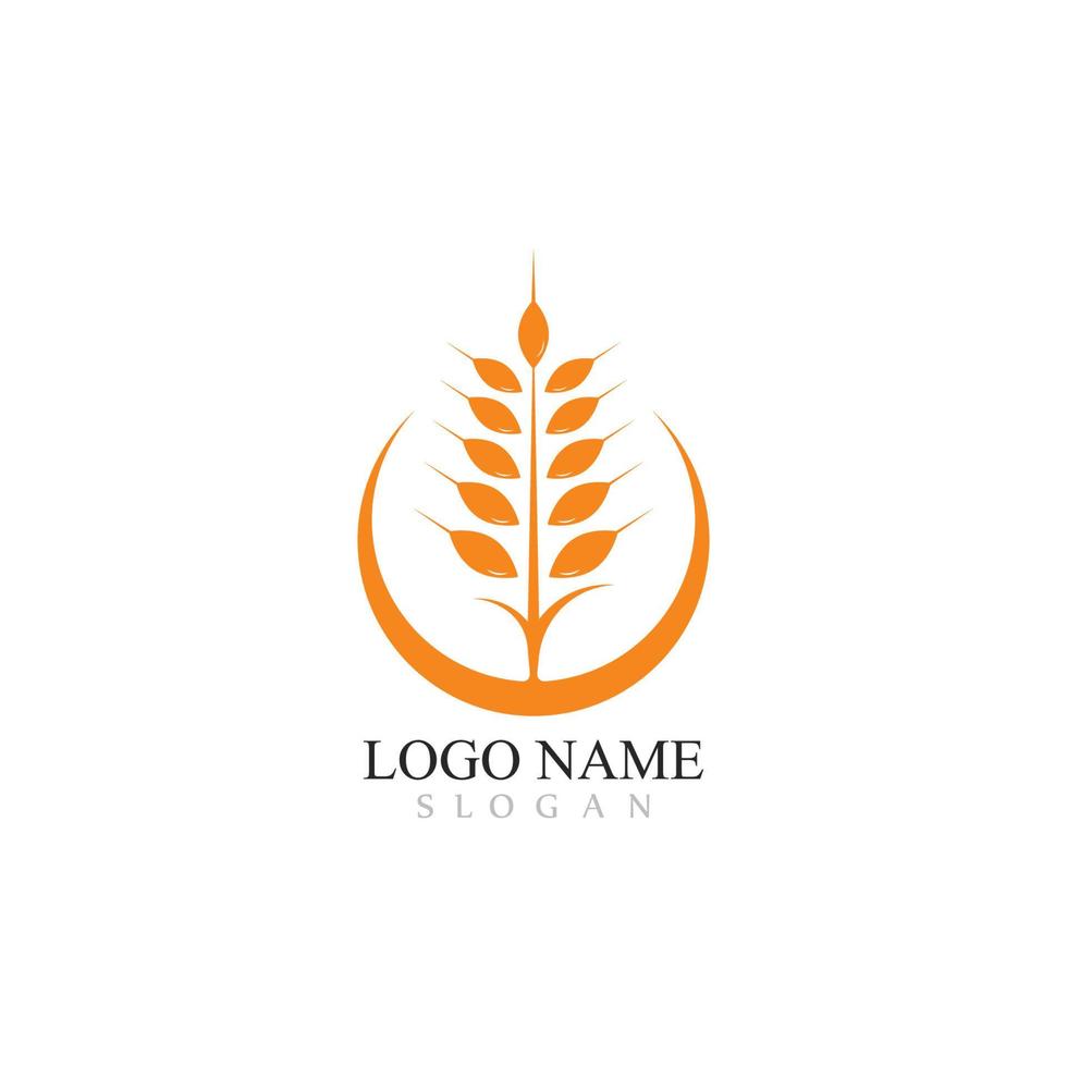 Agriculture wheat Logo Template vector icon