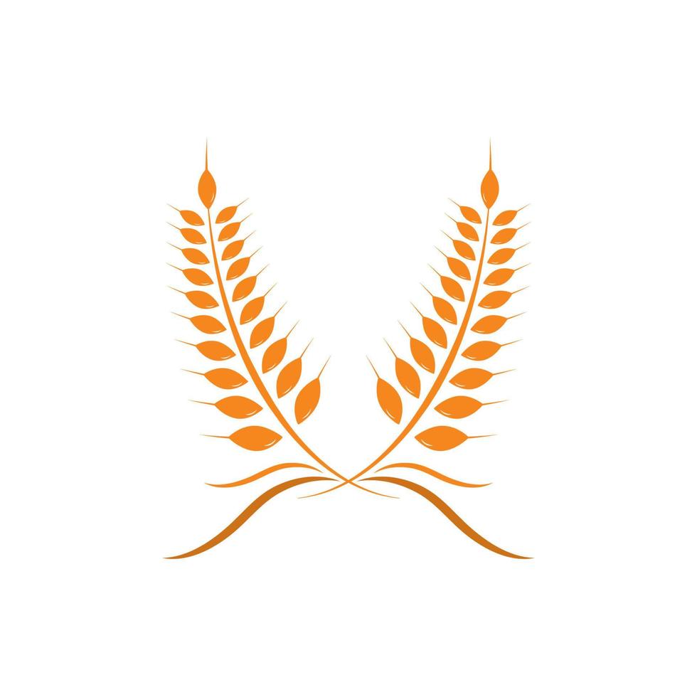 Agriculture wheat Logo Template vector icon