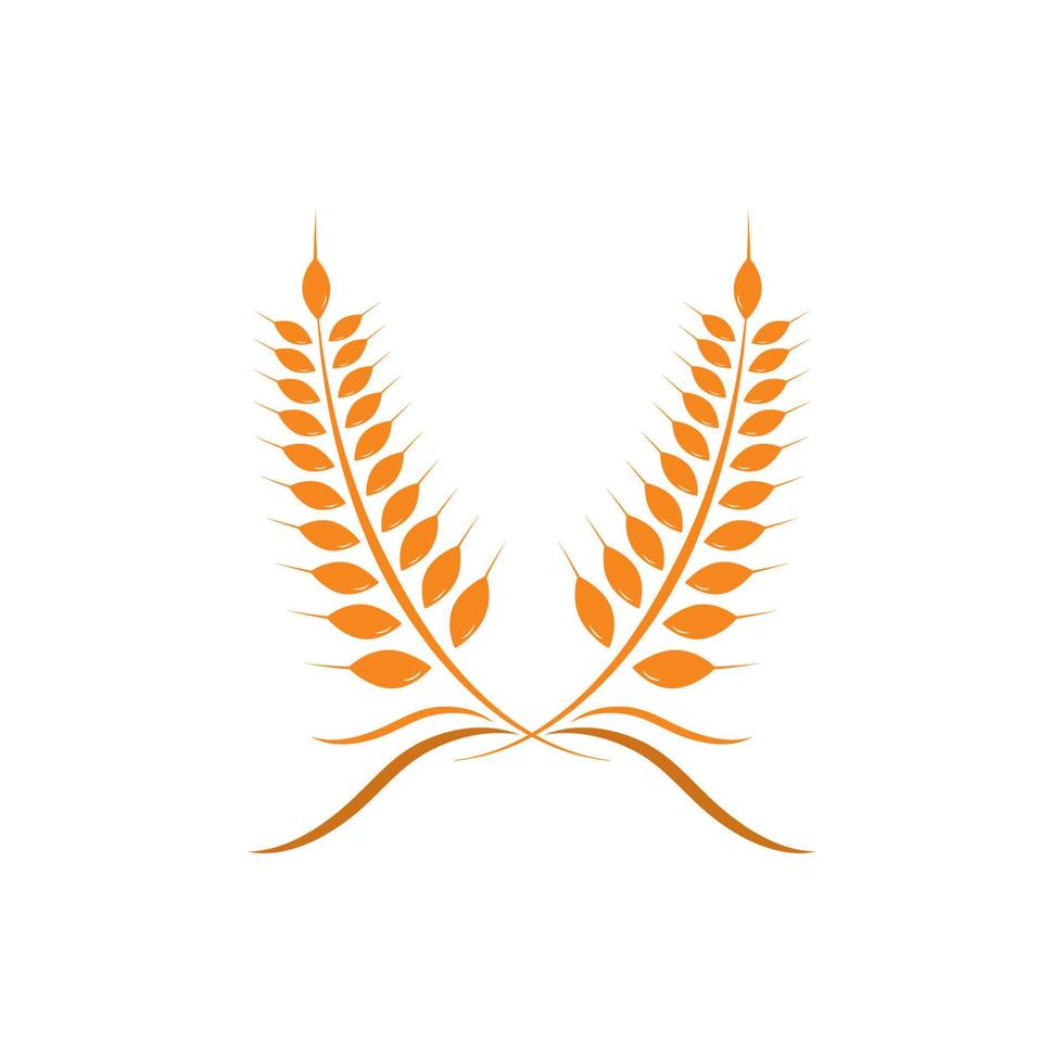 Agriculture wheat Logo Template vector icon