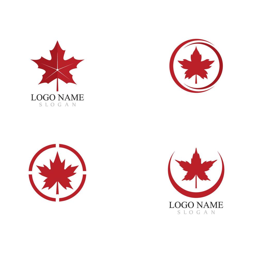 Maple leaf logo template vector icon illustration