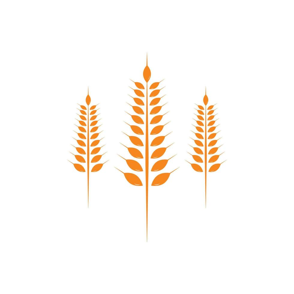 Agriculture wheat Logo Template vector icon