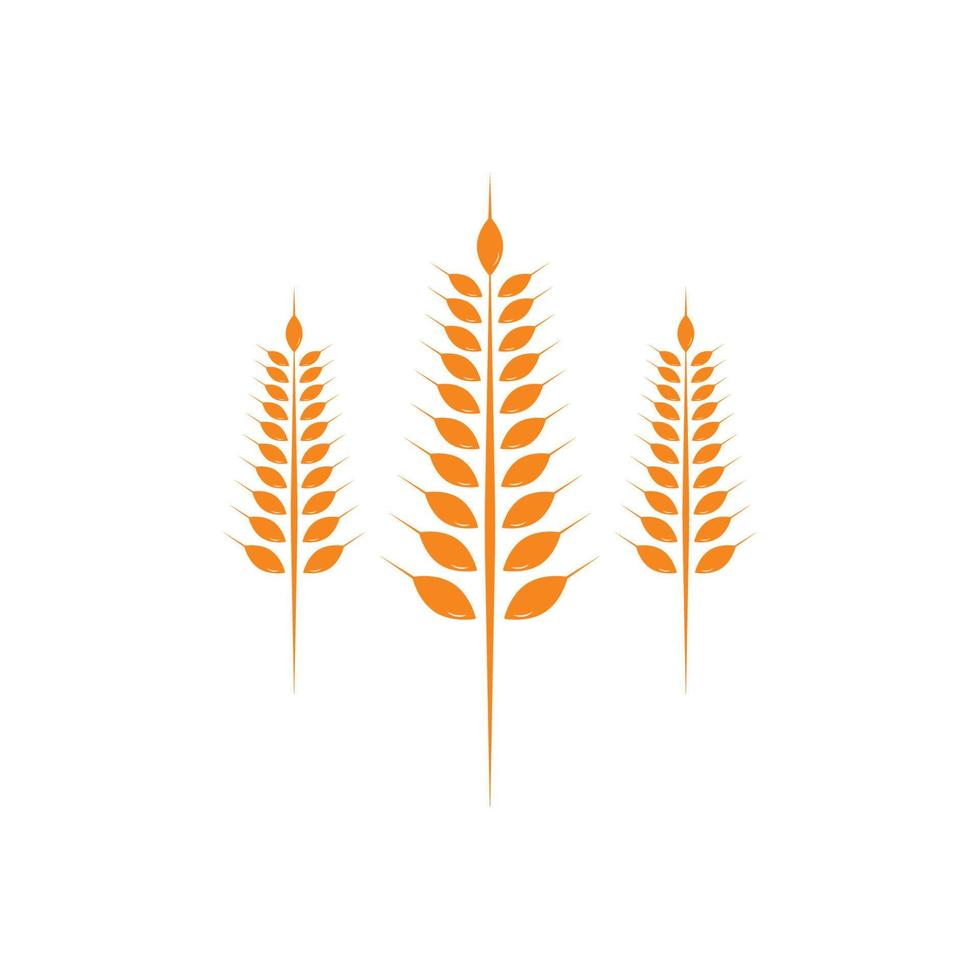 Agriculture wheat Logo Template vector icon