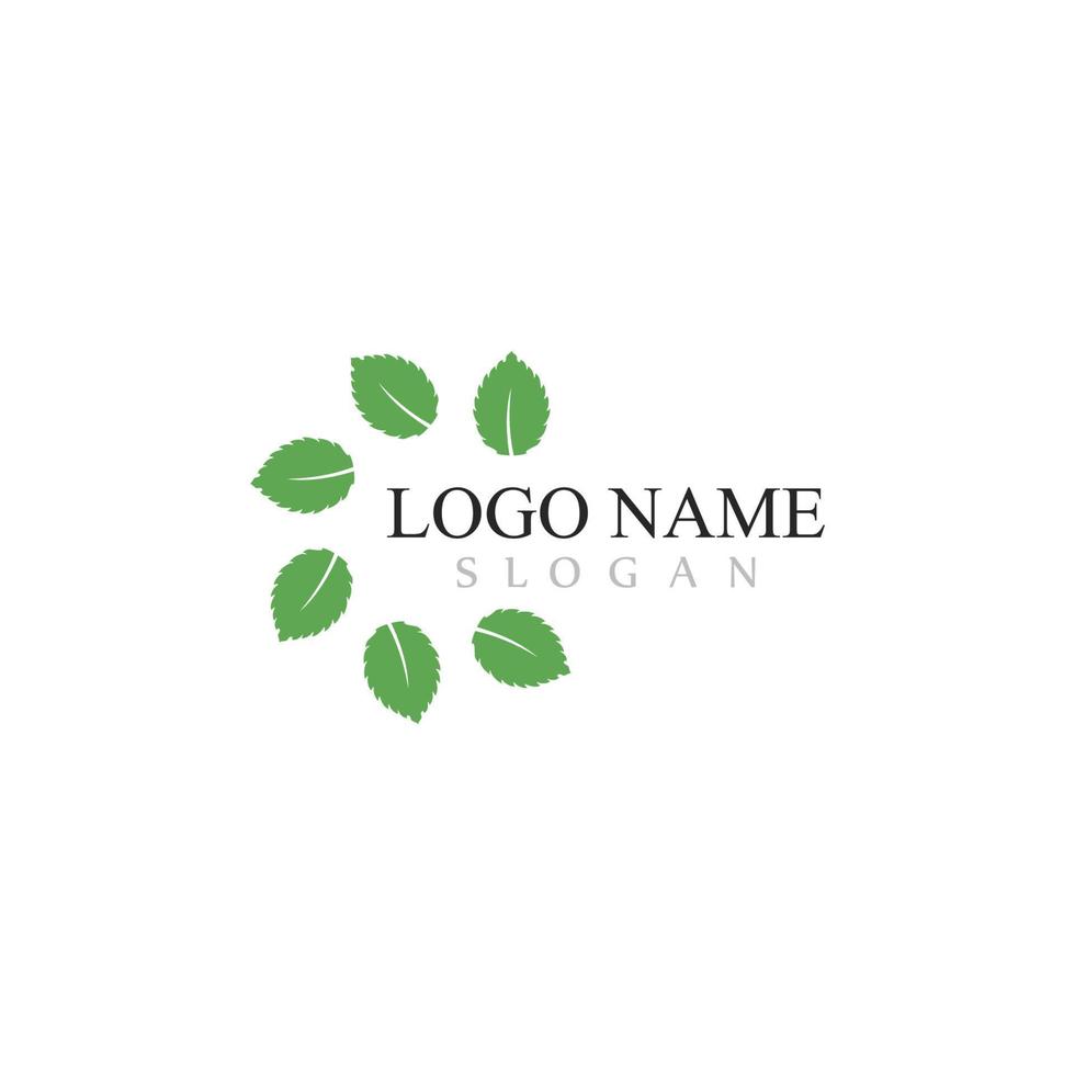 Mint leaf vector icon illustration