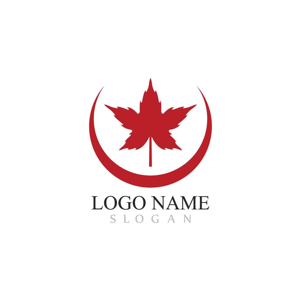 Maple leaf logo template vector icon illustration