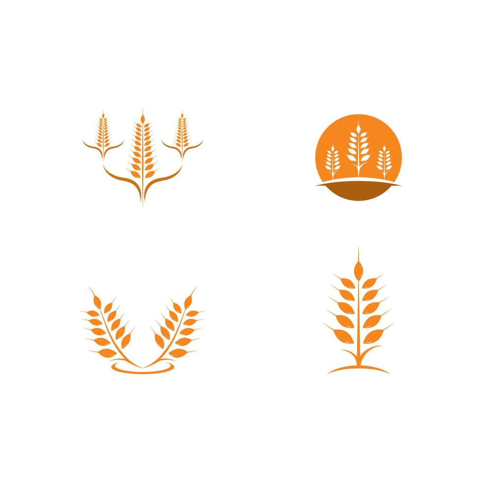 icono de vector de plantilla de logotipo de trigo de agricultura