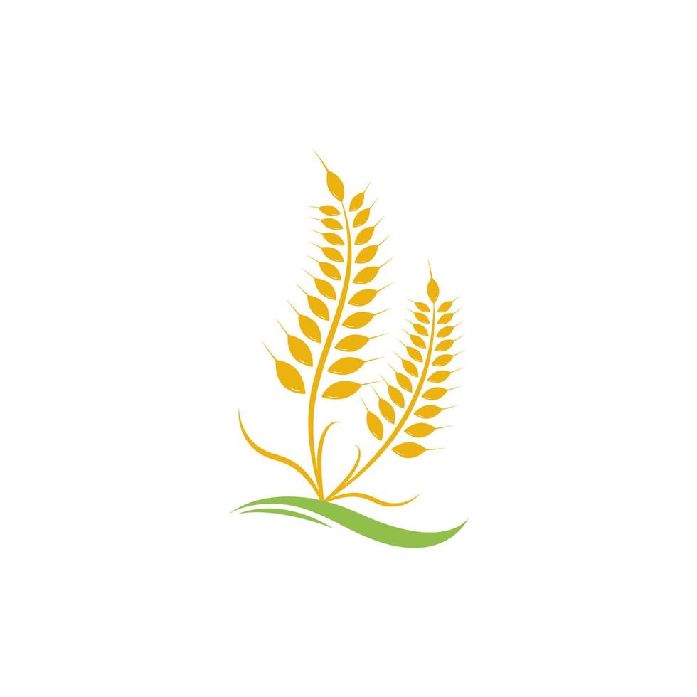 icono de vector de plantilla de logotipo de trigo de agricultura