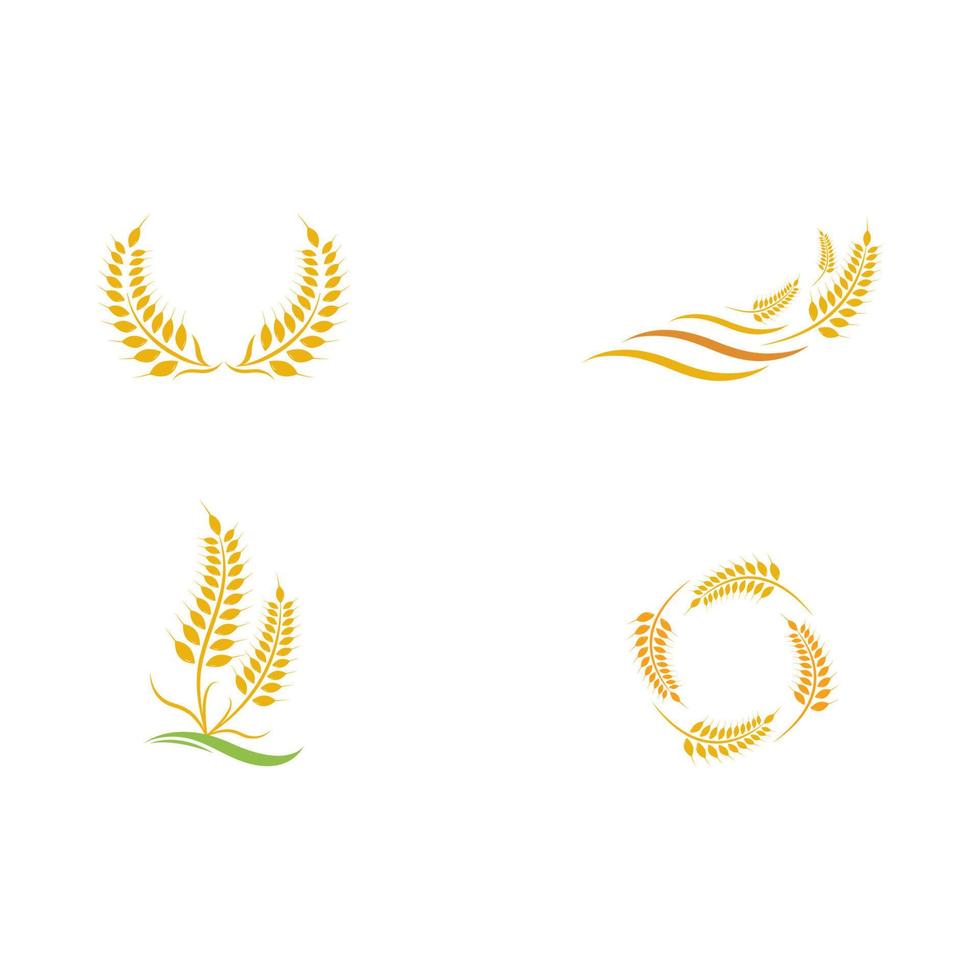 Agriculture wheat Logo Template vector icon