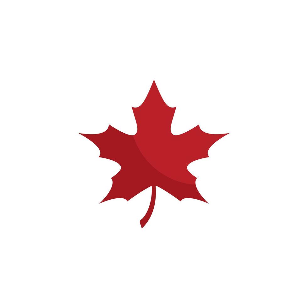 Maple leaf logo template vector icon illustration