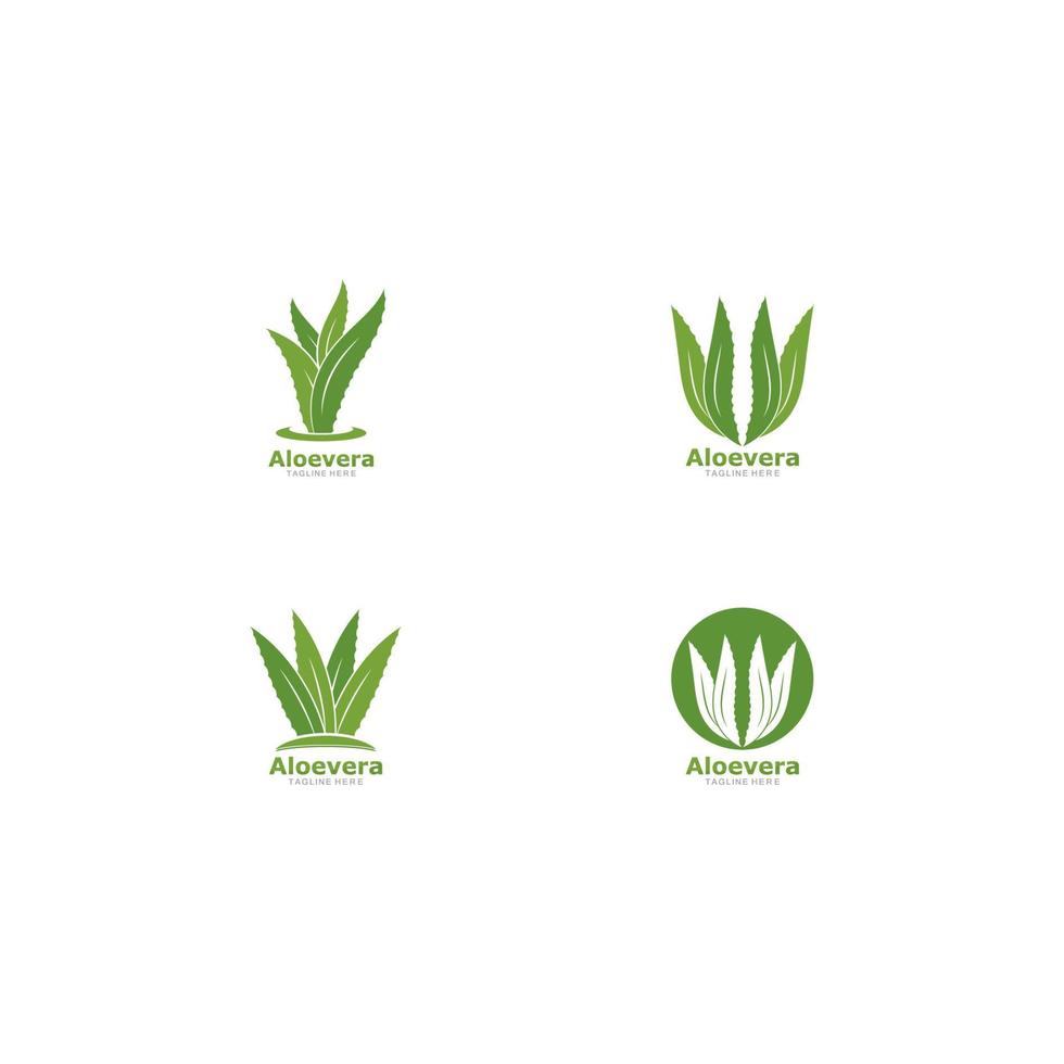 conjunto de icono de vector de plantilla de logotipo de aloevera