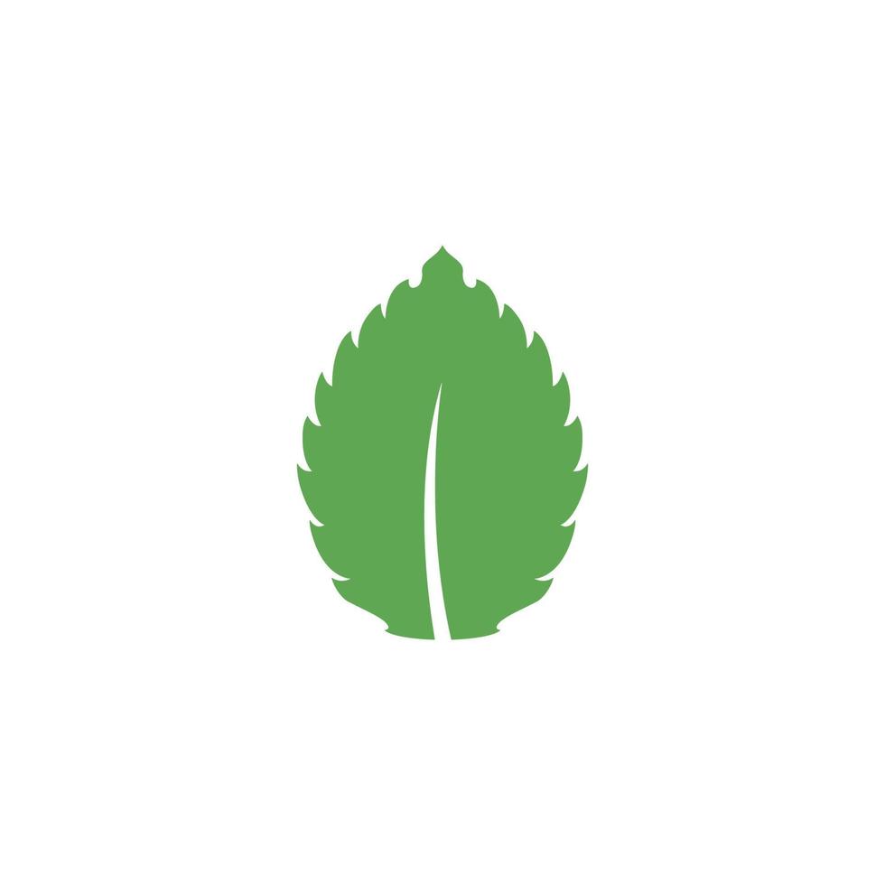 Mint leaf vector icon illustration