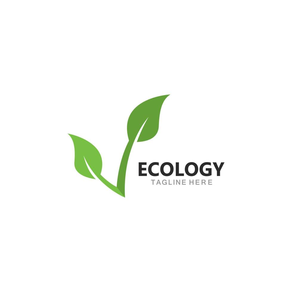 logotipo de hoja de árbol ecológico vector