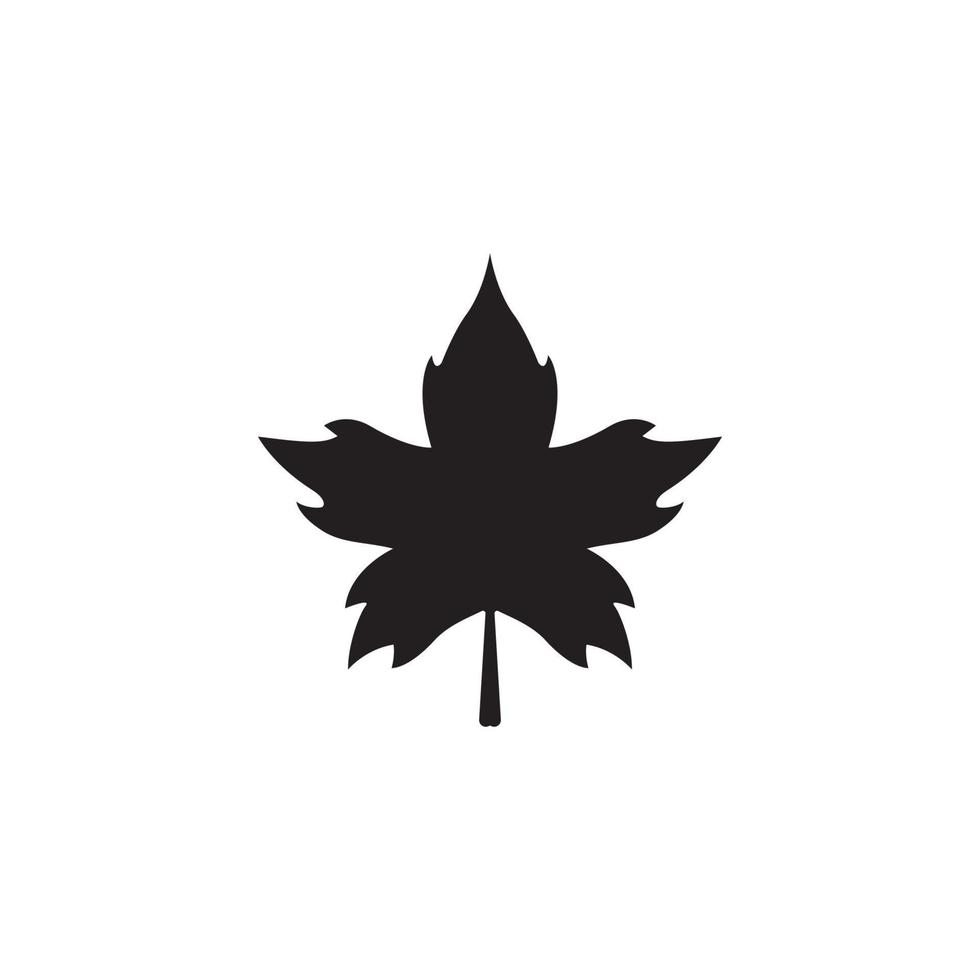 Maple leaf logo template vector icon illustration