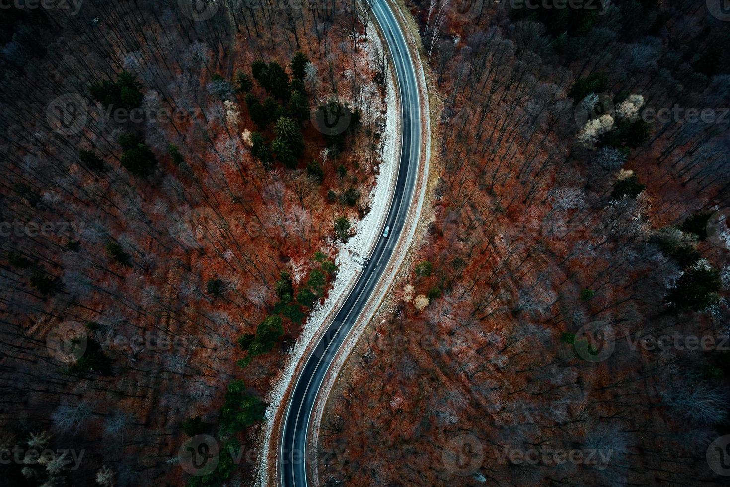 paisaje con camino sinuoso a través del bosque, vista aérea foto
