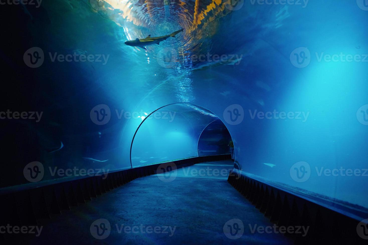 Underwater oceanarium tunnel photo