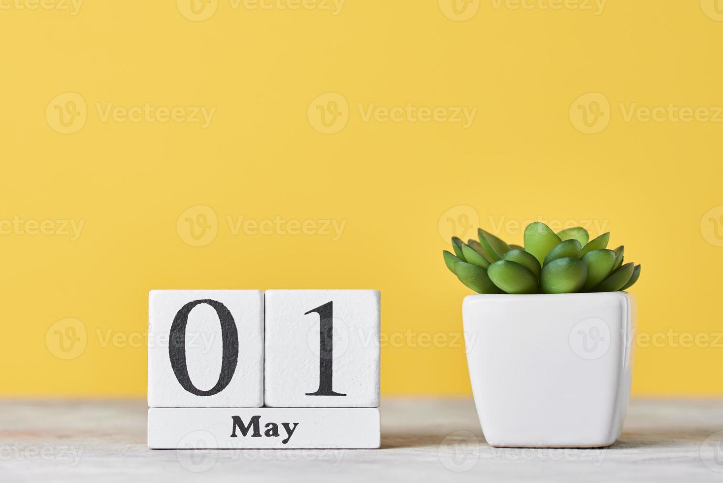 calendario de bloques de madera con fecha 1 de mayo y planta suculenta sobre fondo amarillo foto