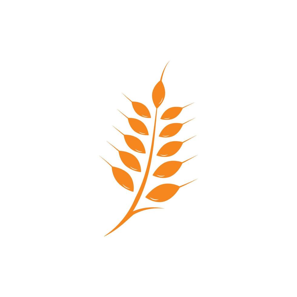 Agriculture wheat Logo Template vector icon