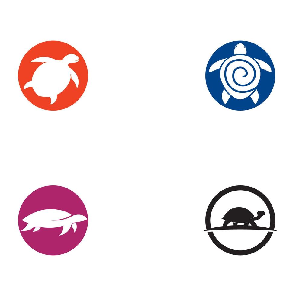 Turtle icon illustration design vector
