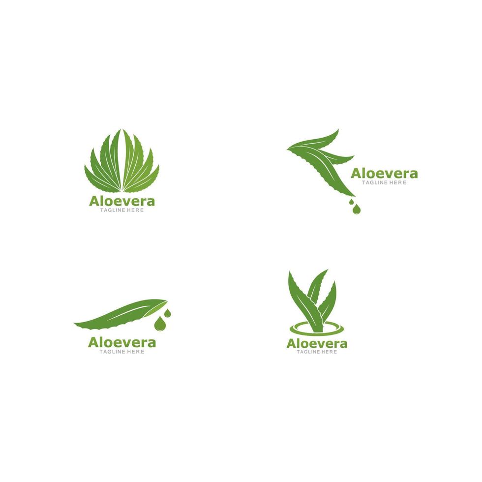 conjunto de icono de vector de plantilla de logotipo de aloevera