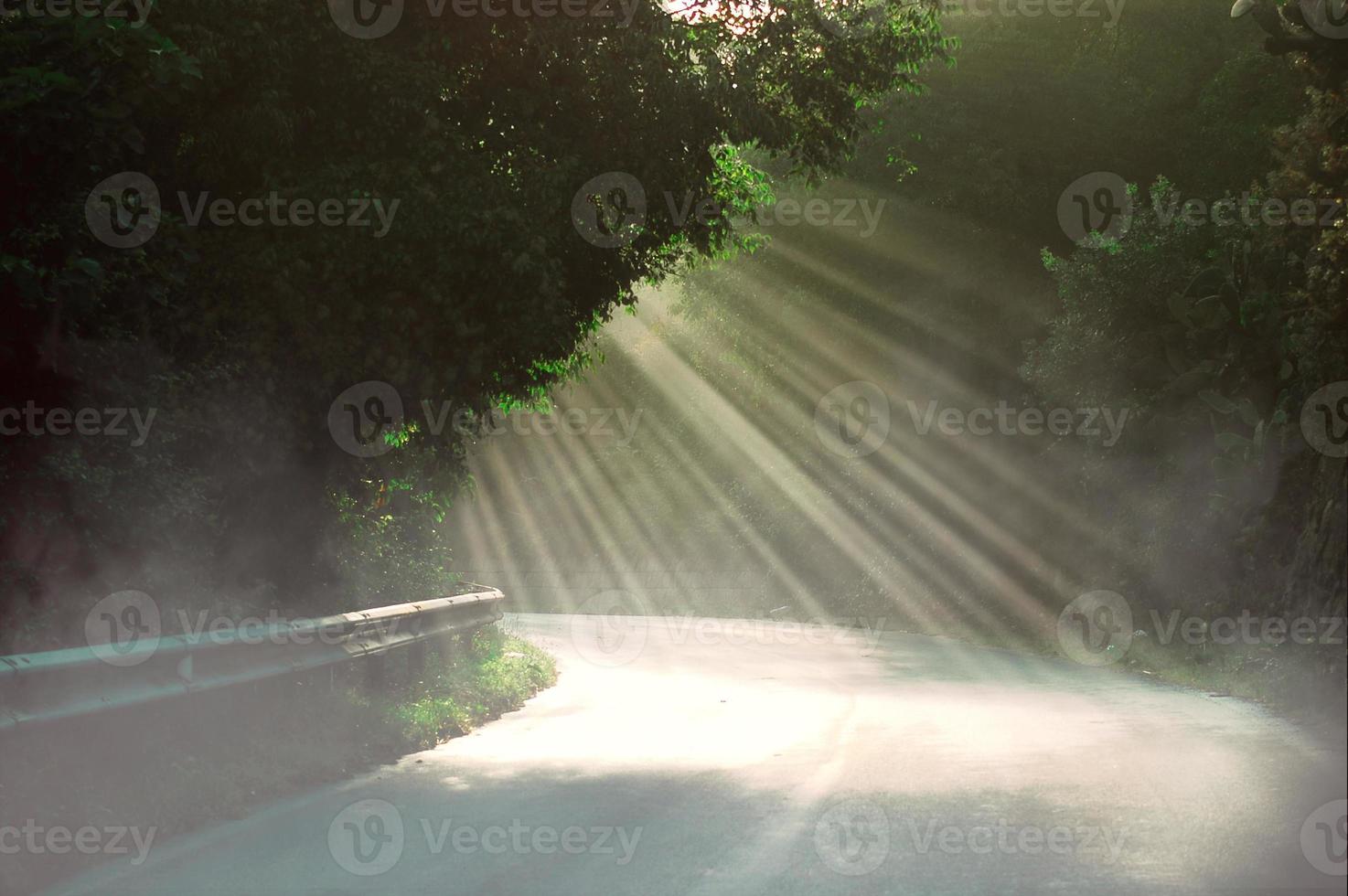 Los rayos del sol de la mañana penetran en las hojas de los árboles y la niebla se eleva en el aire paisaje natural. foto