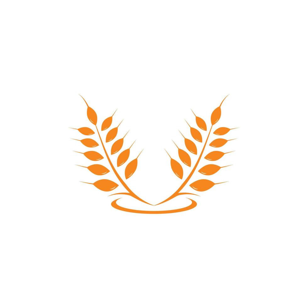 Agriculture wheat Logo Template vector icon