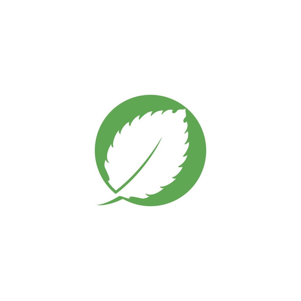 Mint leaf vector icon illustration