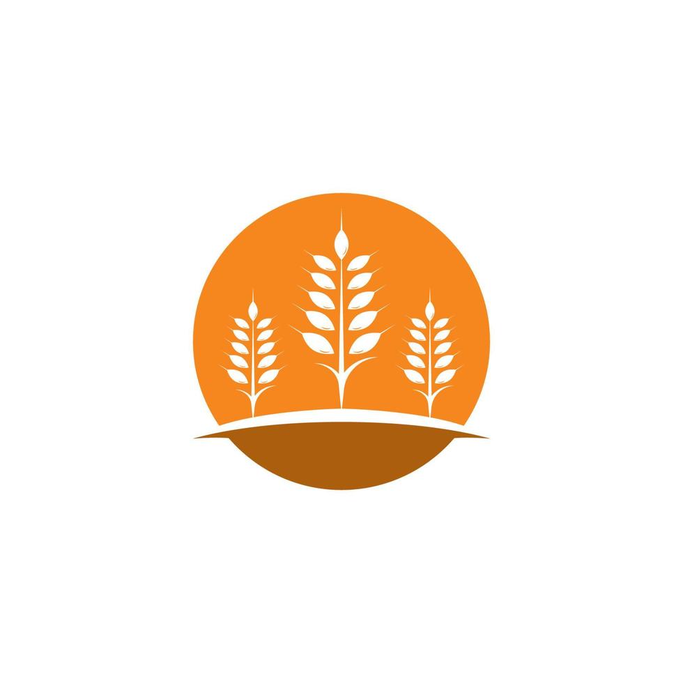 icono de vector de plantilla de logotipo de trigo de agricultura