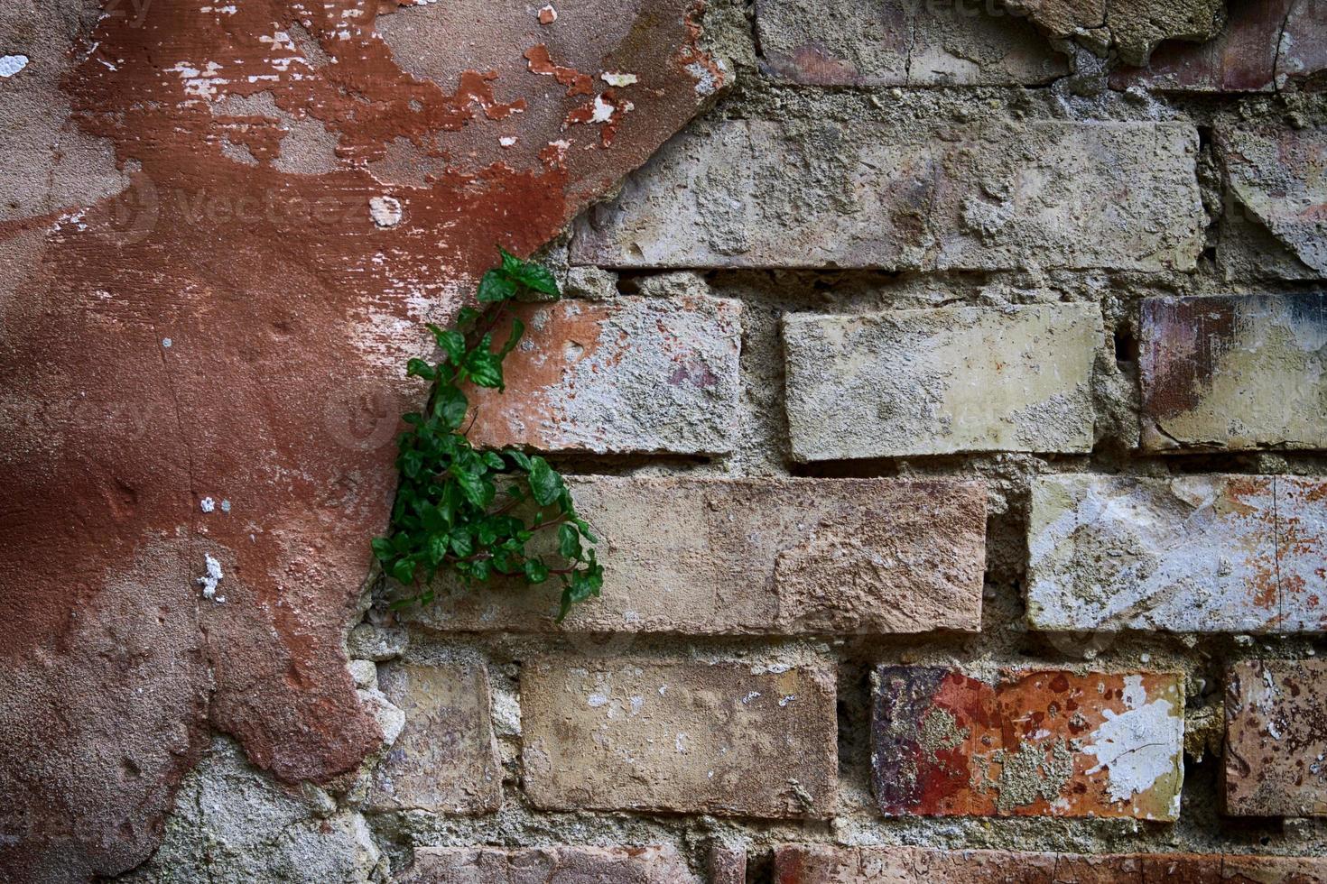 Old broken brick wall made of plaster. Old broken brick wall with cracked plaster 14885821 Stock