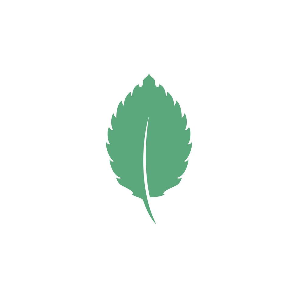 ilustración de icono de vector de hoja de menta