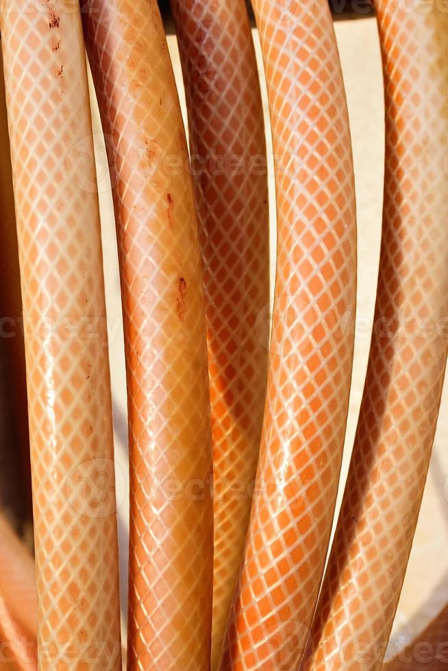 Coiled orange hose. Garden tools. Vertical image. photo