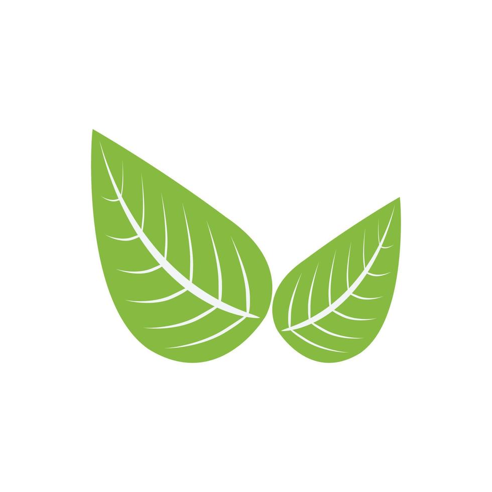 Vector illustration of a green leaf