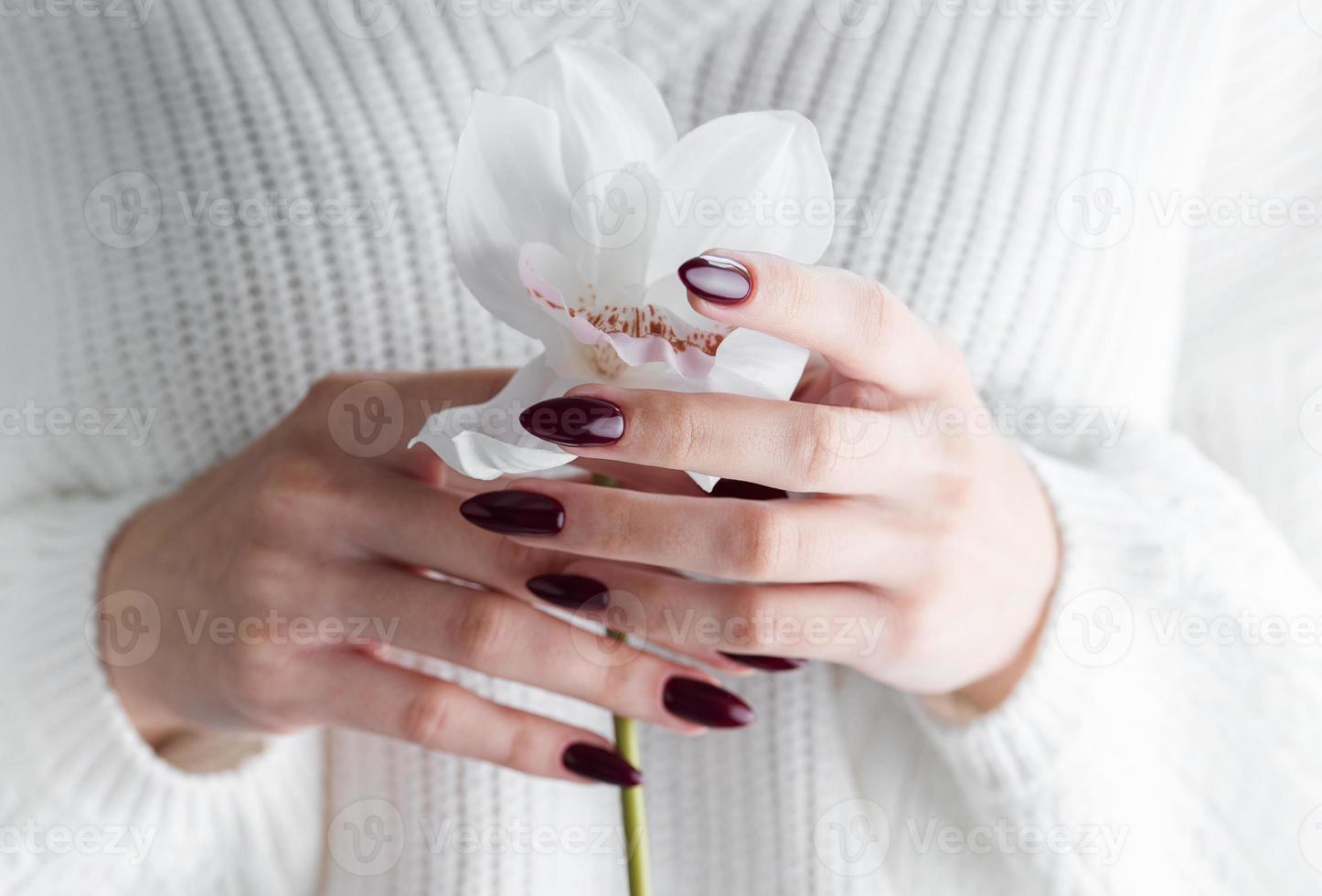 manos de una mujer joven con manicura roja oscura en las uñas foto