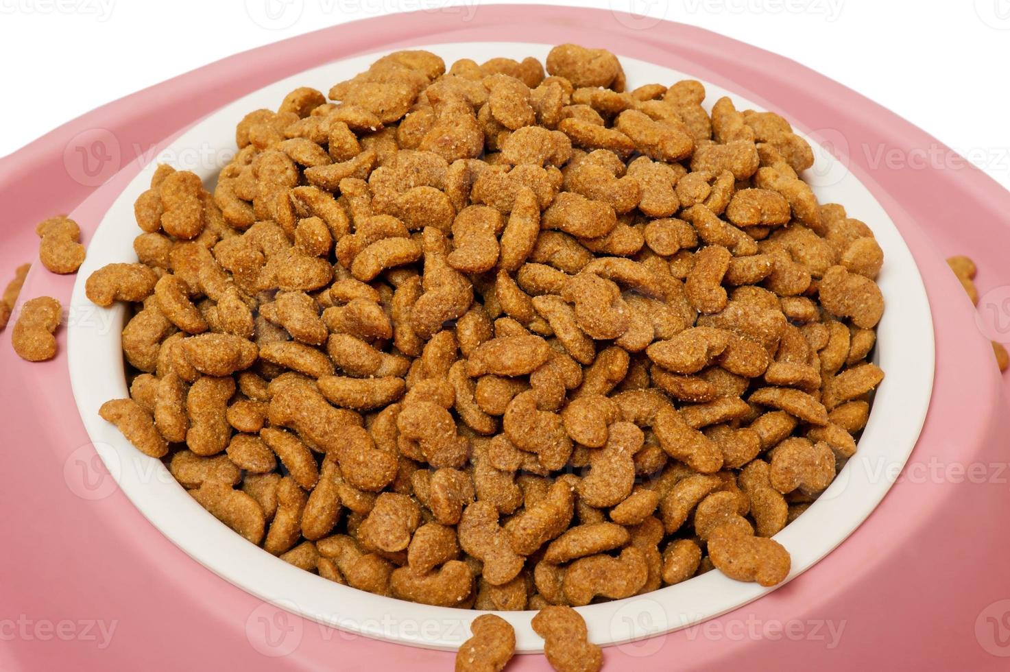 Dry food for dogs or cats in a pink and white bowl. Food for pets. photo