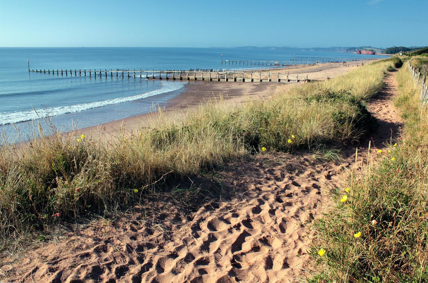 Sand Dunes Beach Scene photo