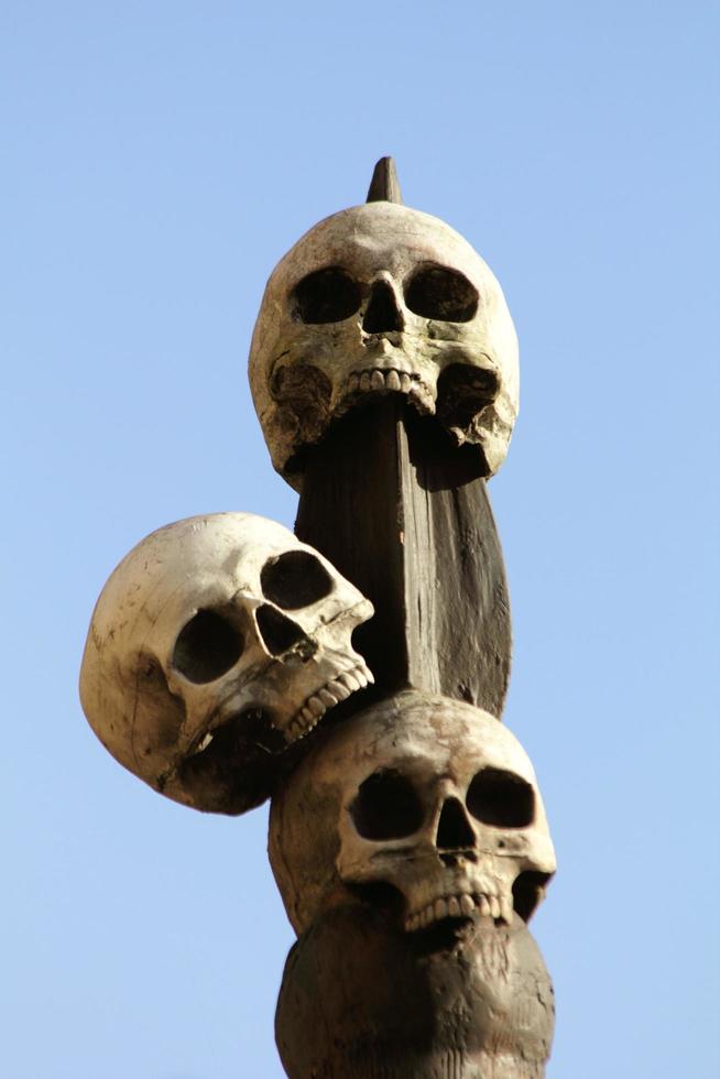 Skulls On A Spike photo