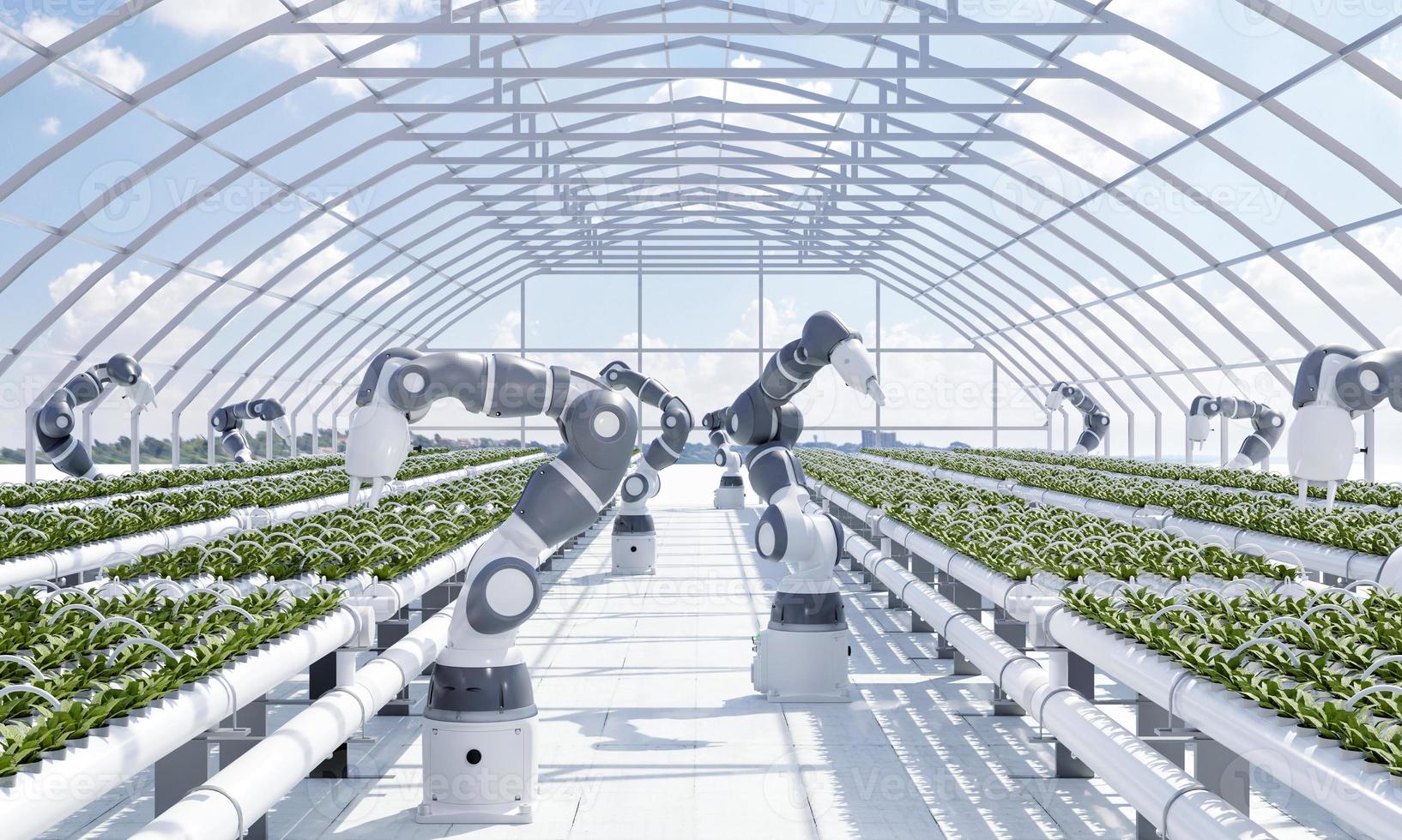 granja inteligente con manos robóticas cultivando y cosechando verduras en invernadero con fondo de cielo. concepto innovador de tecnología y agricultura. representación de ilustración 3d foto