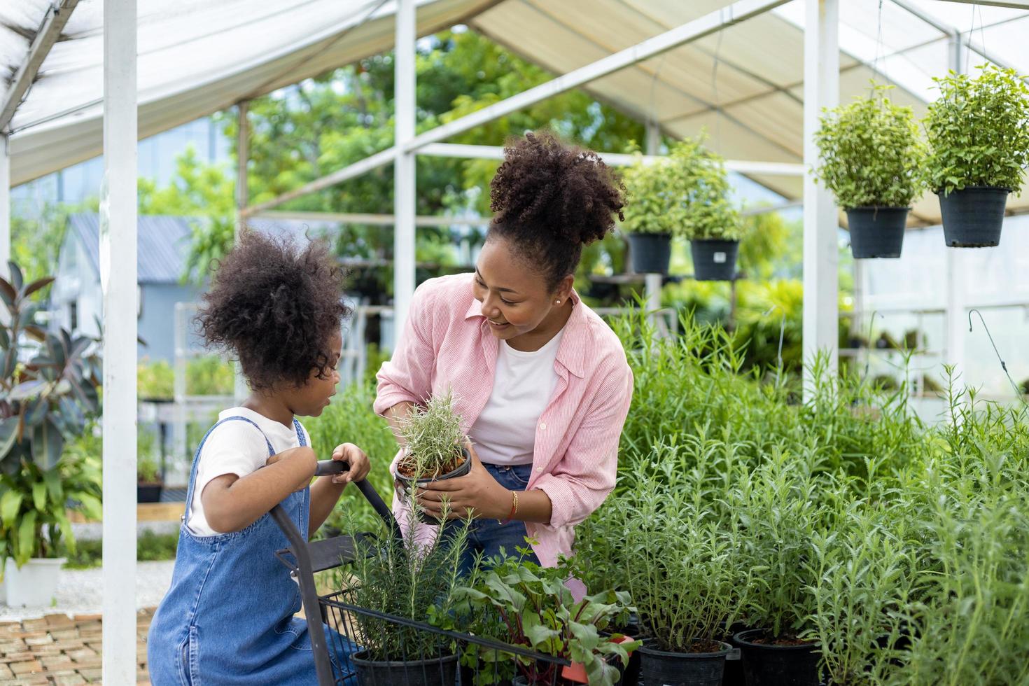 madre africana e hija están eligiendo plantas de verduras y hierbas del vivero del centro de jardinería local con carrito de compras lleno de plantas de verano para la jardinería de fin de semana y al aire libre foto