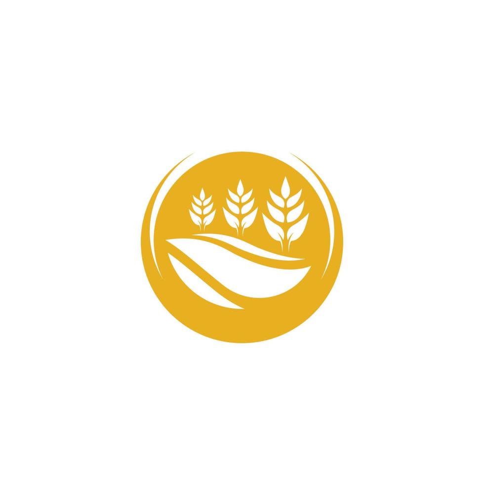 Agriculture wheat logo template vector icon