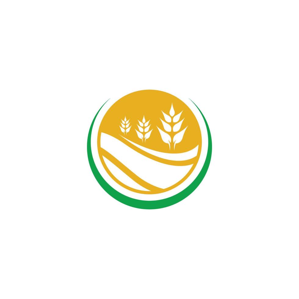 icono de vector de plantilla de logotipo de trigo de agricultura