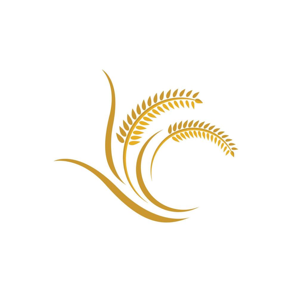 Wheat logo images vector