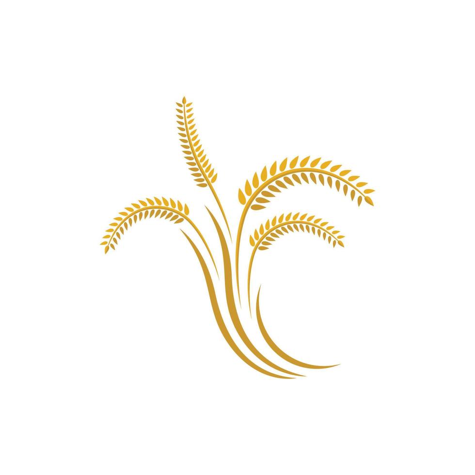 Wheat logo images vector