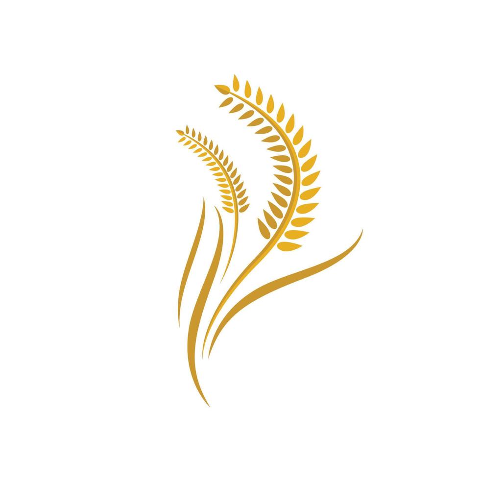 Wheat logo images vector