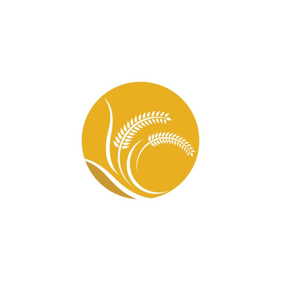 Wheat logo images vector