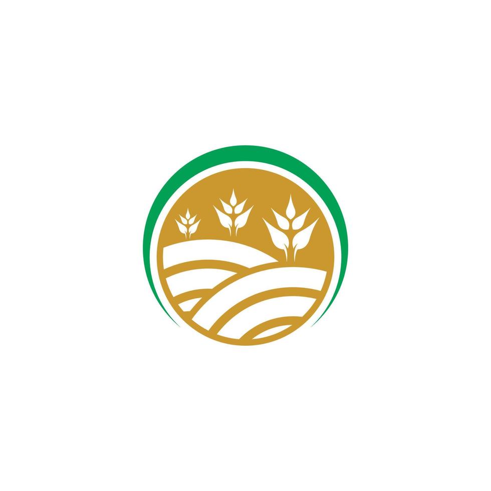 icono de vector de plantilla de logotipo de trigo de agricultura