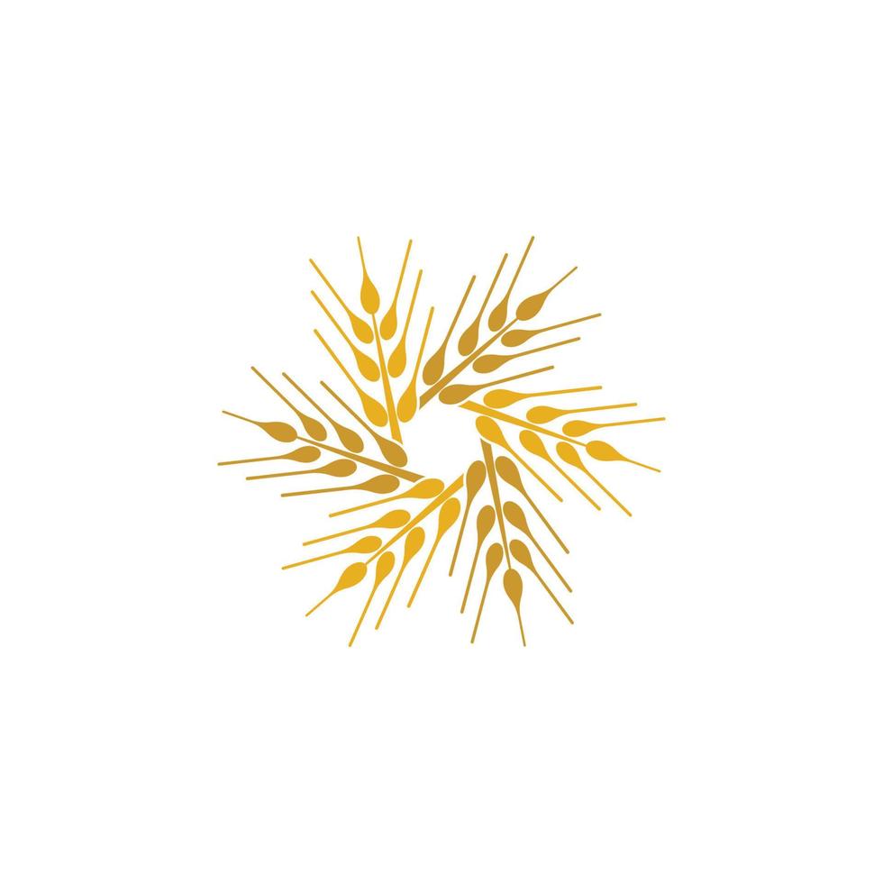 Wheat logo images vector