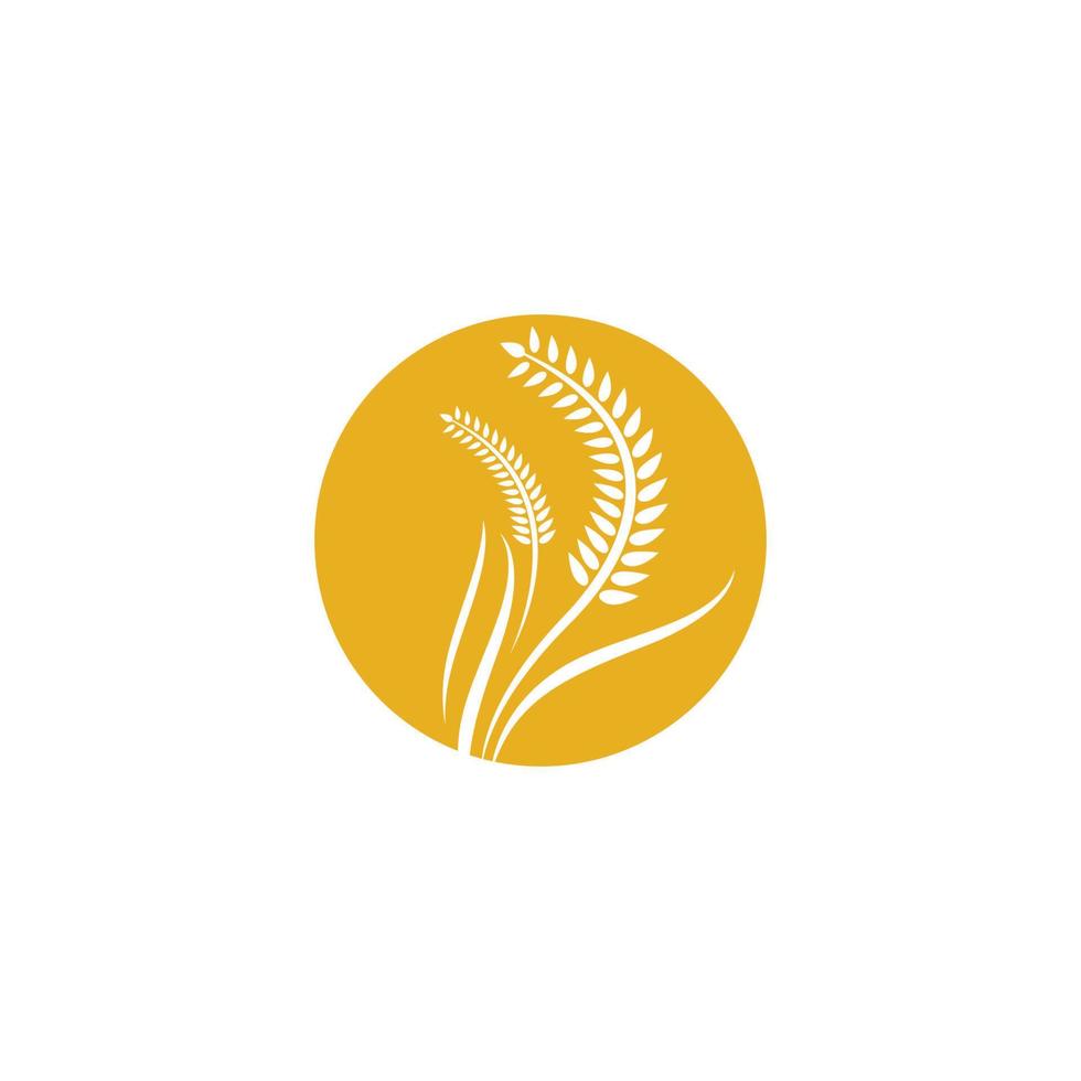Wheat logo images vector