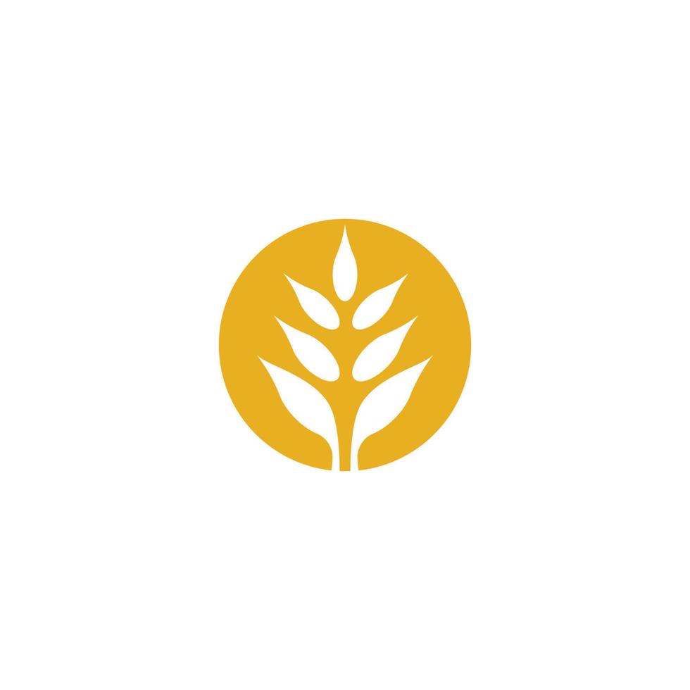 Wheat vector icon illustration design